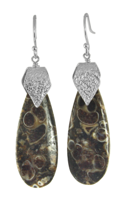 Turritella Fossil Agate Earrings