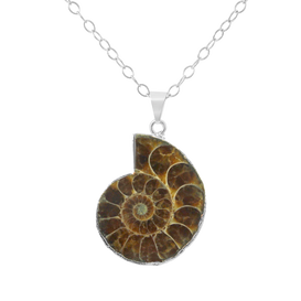 Ammonite Fossil Shell Necklace